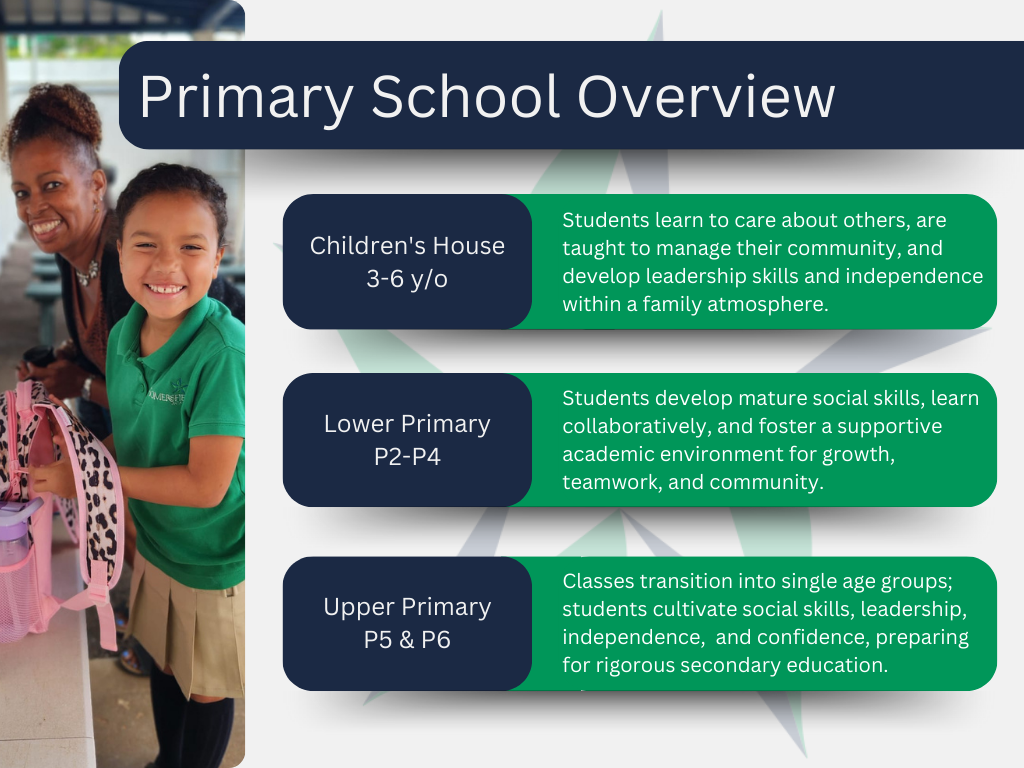 Primary School Overview.png