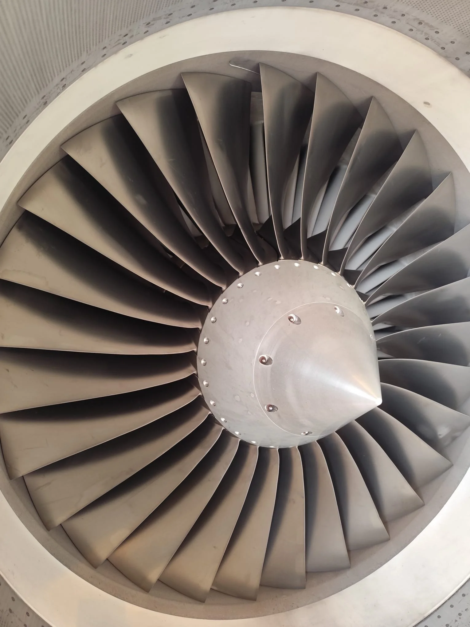 WhatsApp Image 2025-11-24 at 19.59.11.jpeg