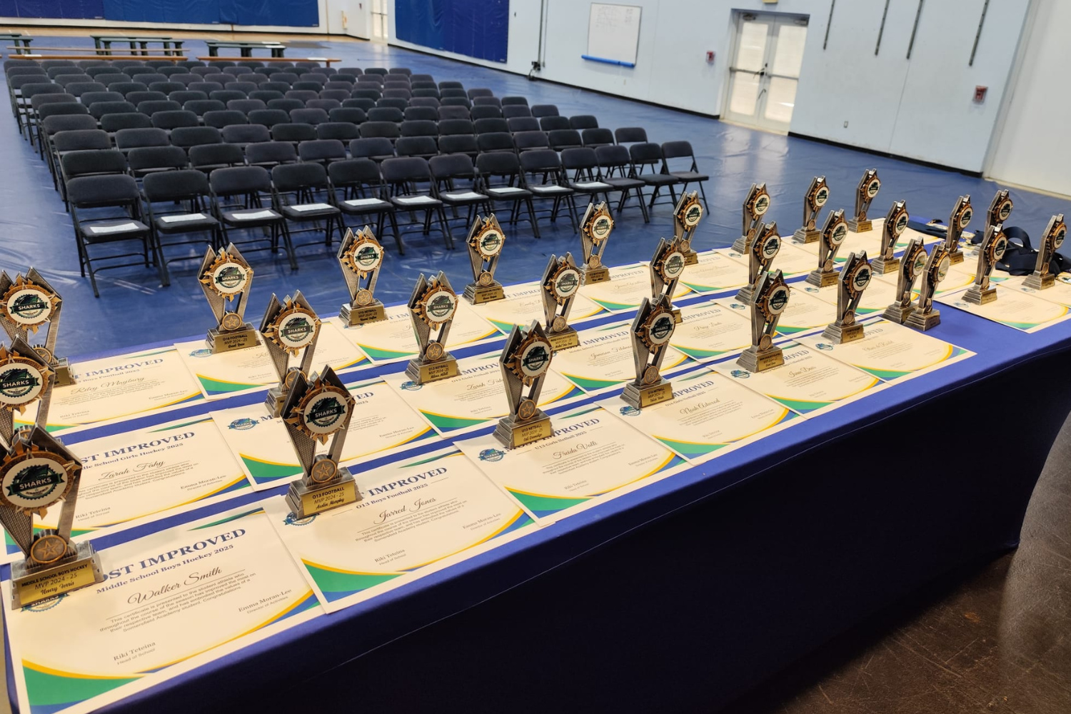 Secondary Sports Awards