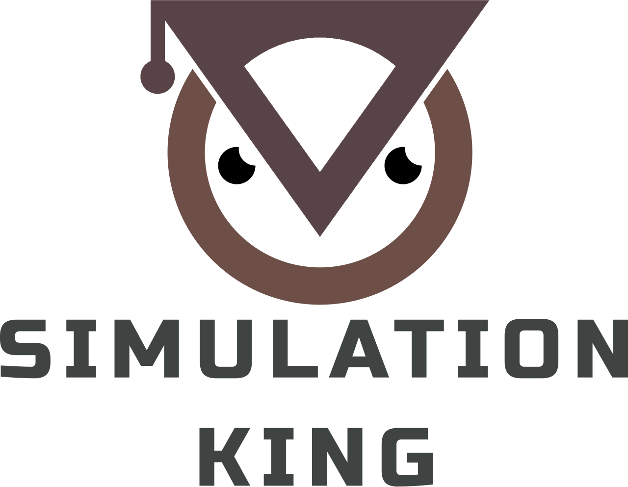 Simulation King