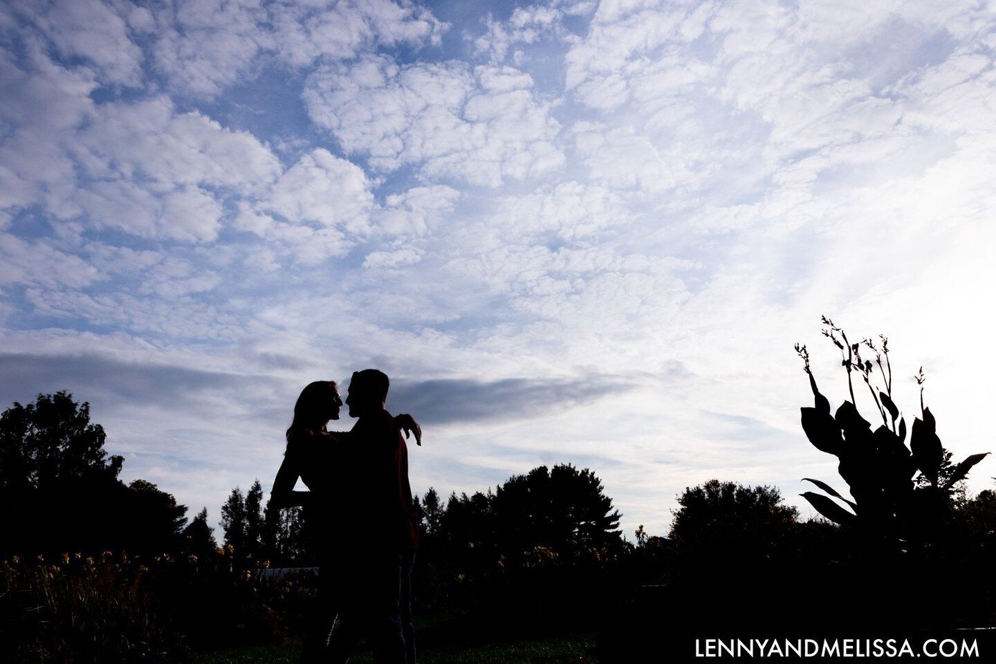 Sky's the limit.

#miamiweddingphotographer #nycweddingphotographer #miamiweddings #southfloridaweddings #weddingrings #weddingring #engagementrings #engagementring #lennyandmelissa #marryme #weddingweekend #candids #isaidyes #dreamwedding #propose #