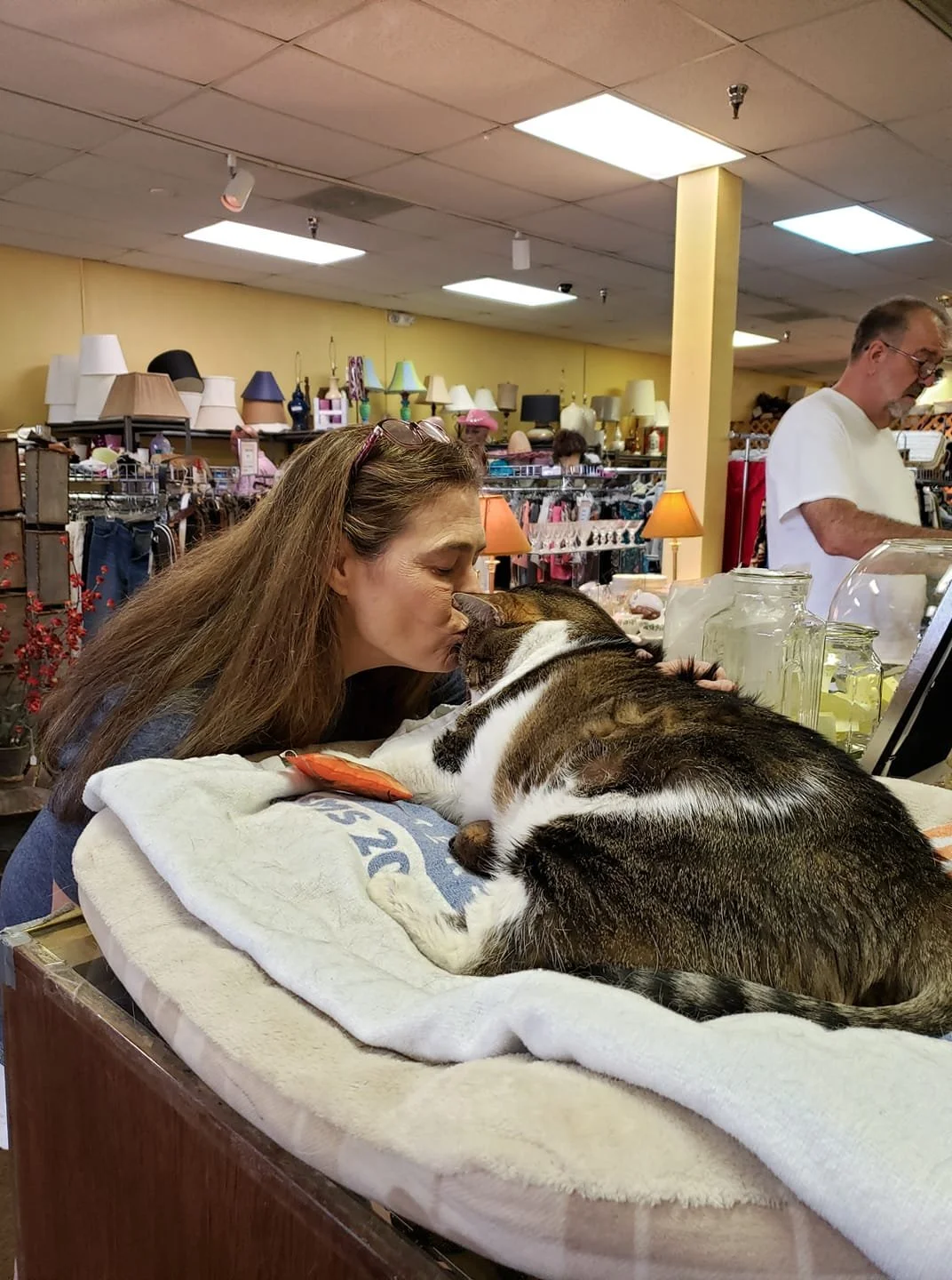 Thrift Store — Adopt A Cat Foundation