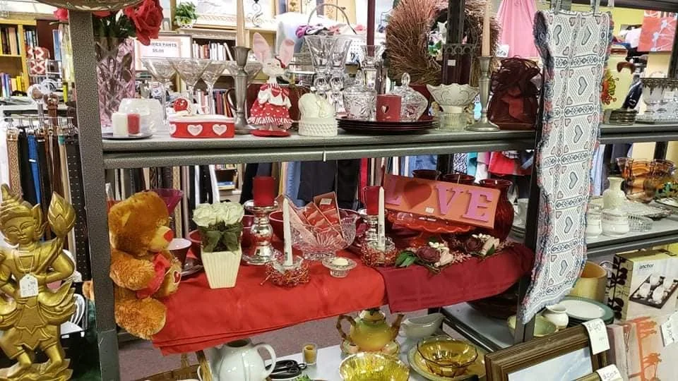 Thrift Store — Adopt A Cat Foundation