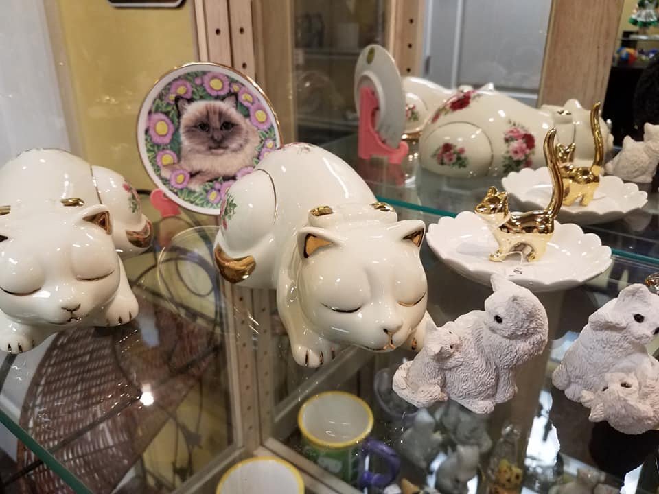 Thrift Store — Adopt A Cat Foundation