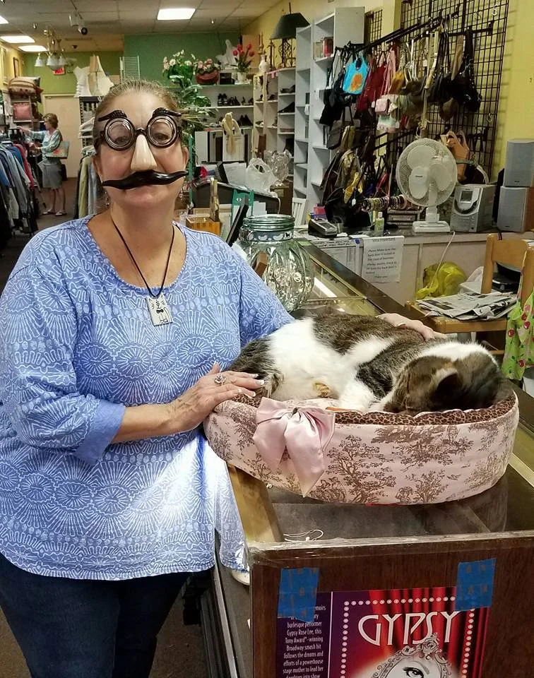 Thrift Store — Adopt A Cat Foundation
