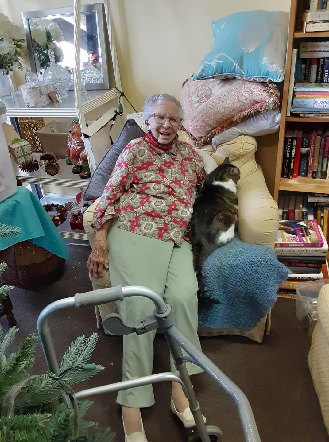 Thrift Store — Adopt A Cat Foundation