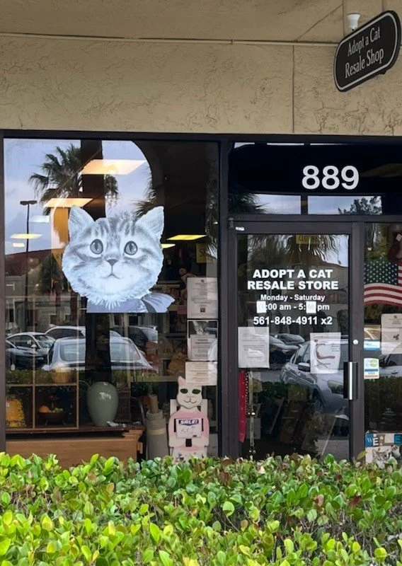 Resale Store — Adopt A Cat Foundation