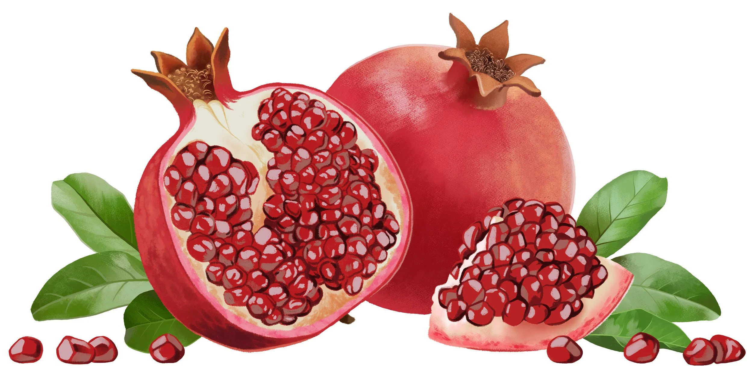 Donna banner illu.jpg