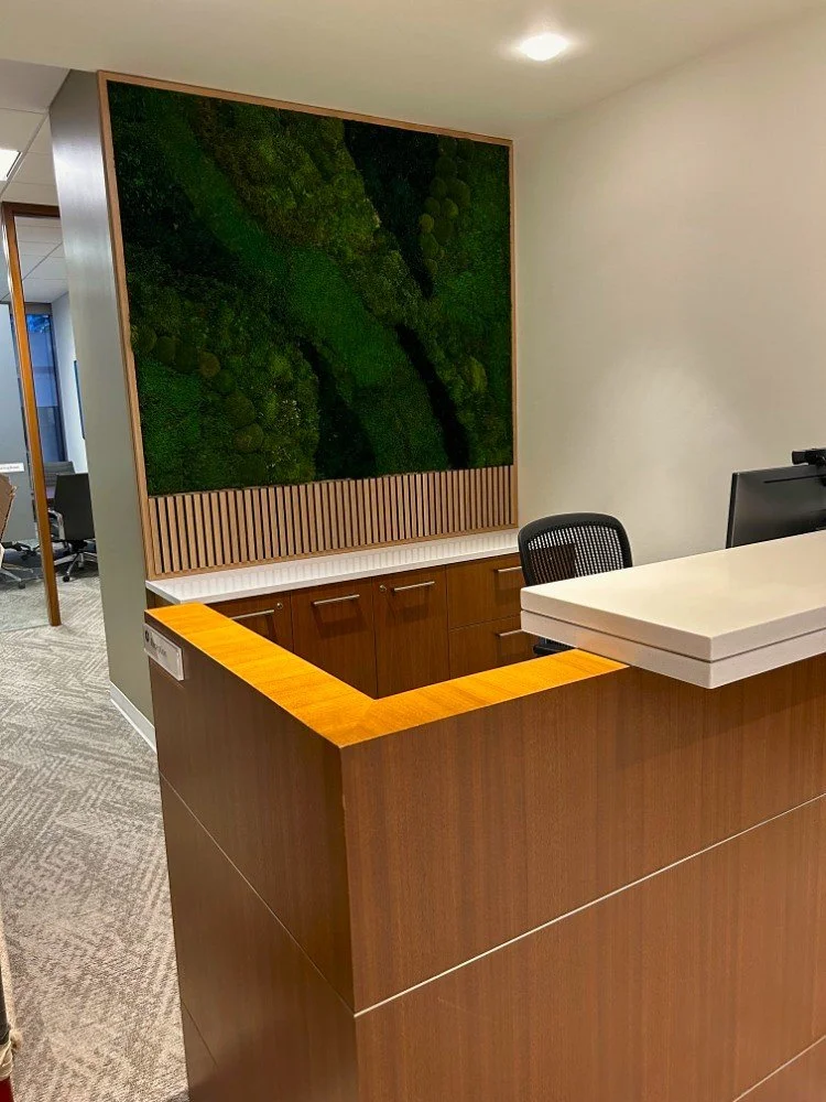 reception desk after 1.jpg