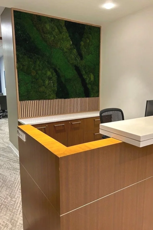 reception desk after 1.jpg
