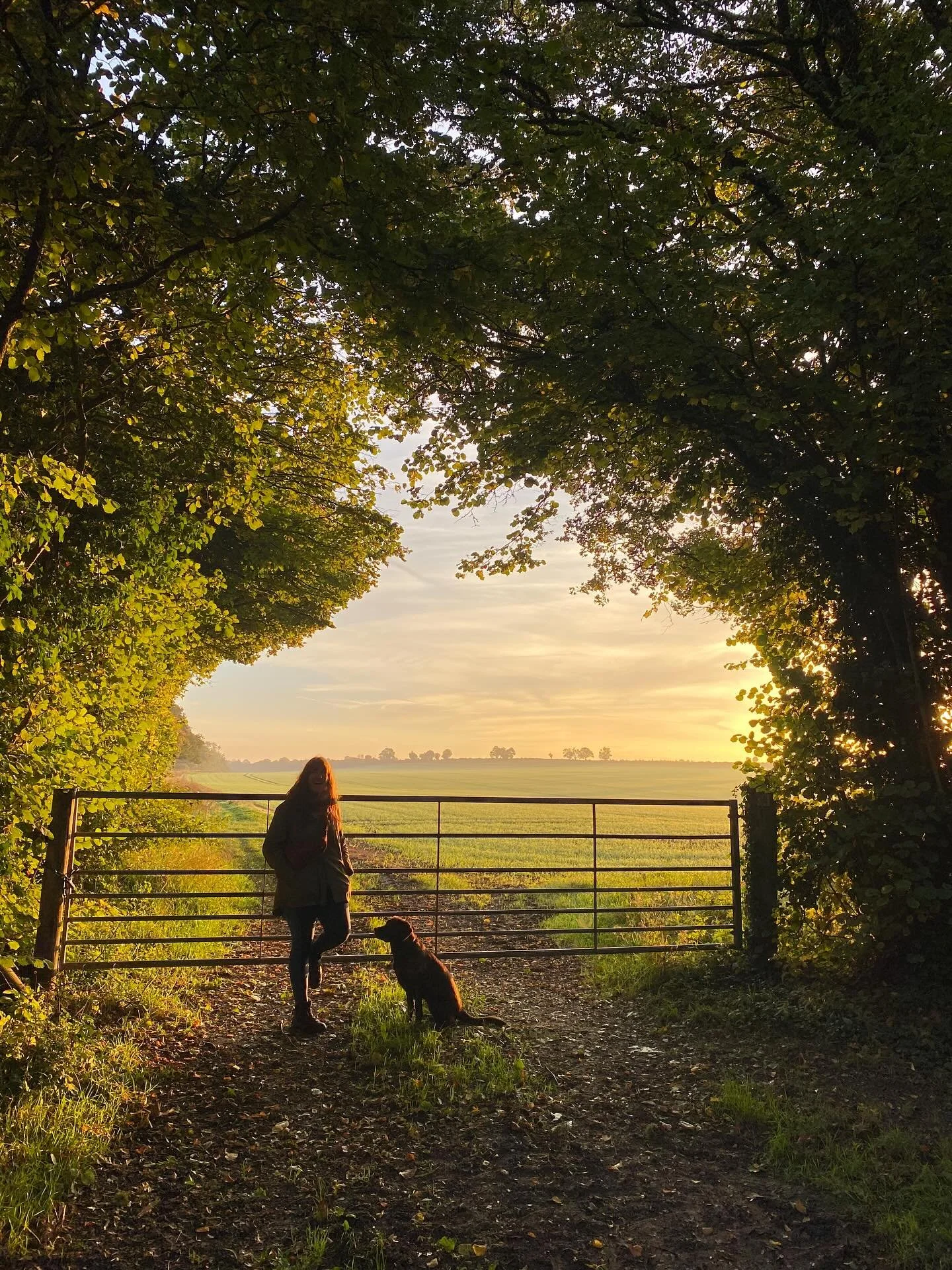October 🌿

1) A birthday walk for Asha
2) My favourite Winchester trio (willow, gingko, gunnera) at the start of the month&hellip;
3) &hellip; and at the end of the month with a guest appearance from Helen
4) South Downs Way (Leg 1) team
5 - 9) Alre