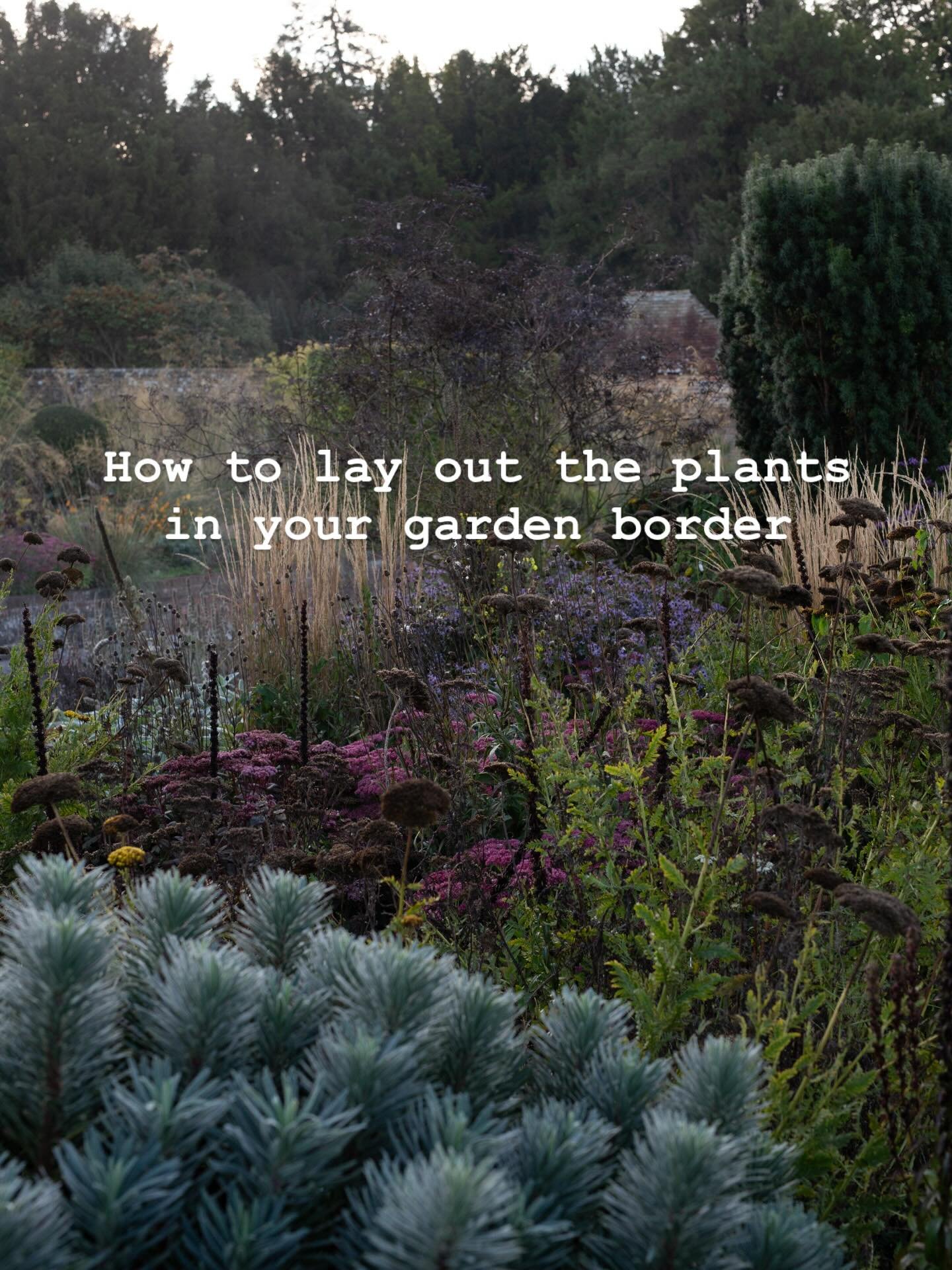 Lessons in how to lay out the plants in your garden border 

How you lay out the plants in your garden beds can make a huge difference if you want to create a garden with impact, cohesion, rhythm and balance. I thought I&rsquo;d share a few simple pr