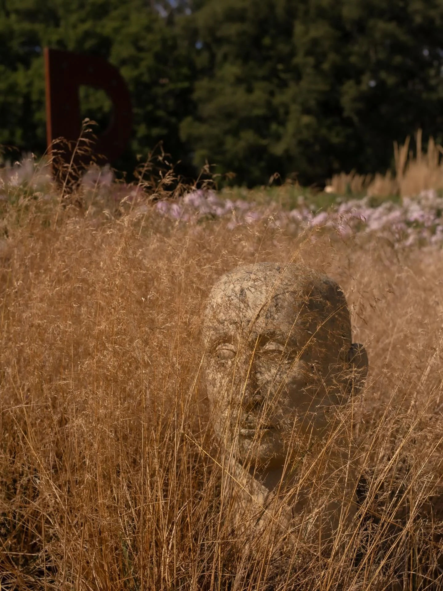 Sussex Prairie Garden |

On the August bank holiday I visited Sussex Prairie Garden. It was the same day I did Knepp&hellip; which is madness on a sweltering hot summers day. Not something I&rsquo;d usually choose do BUT they are both a long drive fo