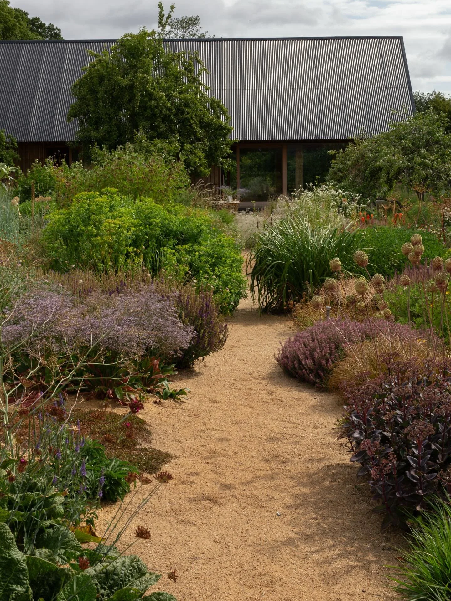The Plant Library | Serge Hill Project

I can&rsquo;t finish the year without sharing my last garden visit! In the Hertfordshire countryside is a living plant library. An incredible resource for designers, gardeners and students. Surrounding the Appl