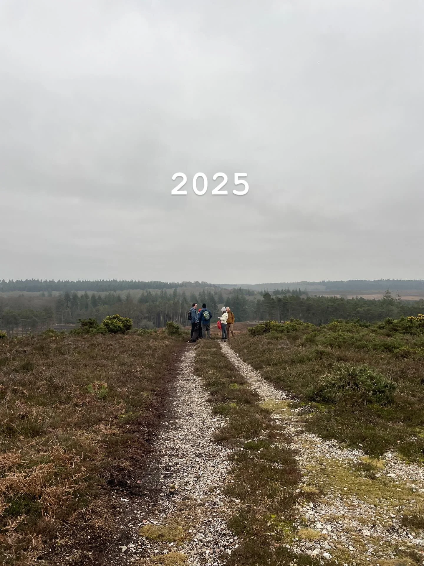 2025 did not quite go to plan, the universe had other ideas. But it turned out alright in the end. There were messy bits sprinkled with beautiful moments ✨. Some I want to remember:

1) Birthday walk and swim in the forest 🌳
2) Completing (!) the Ar