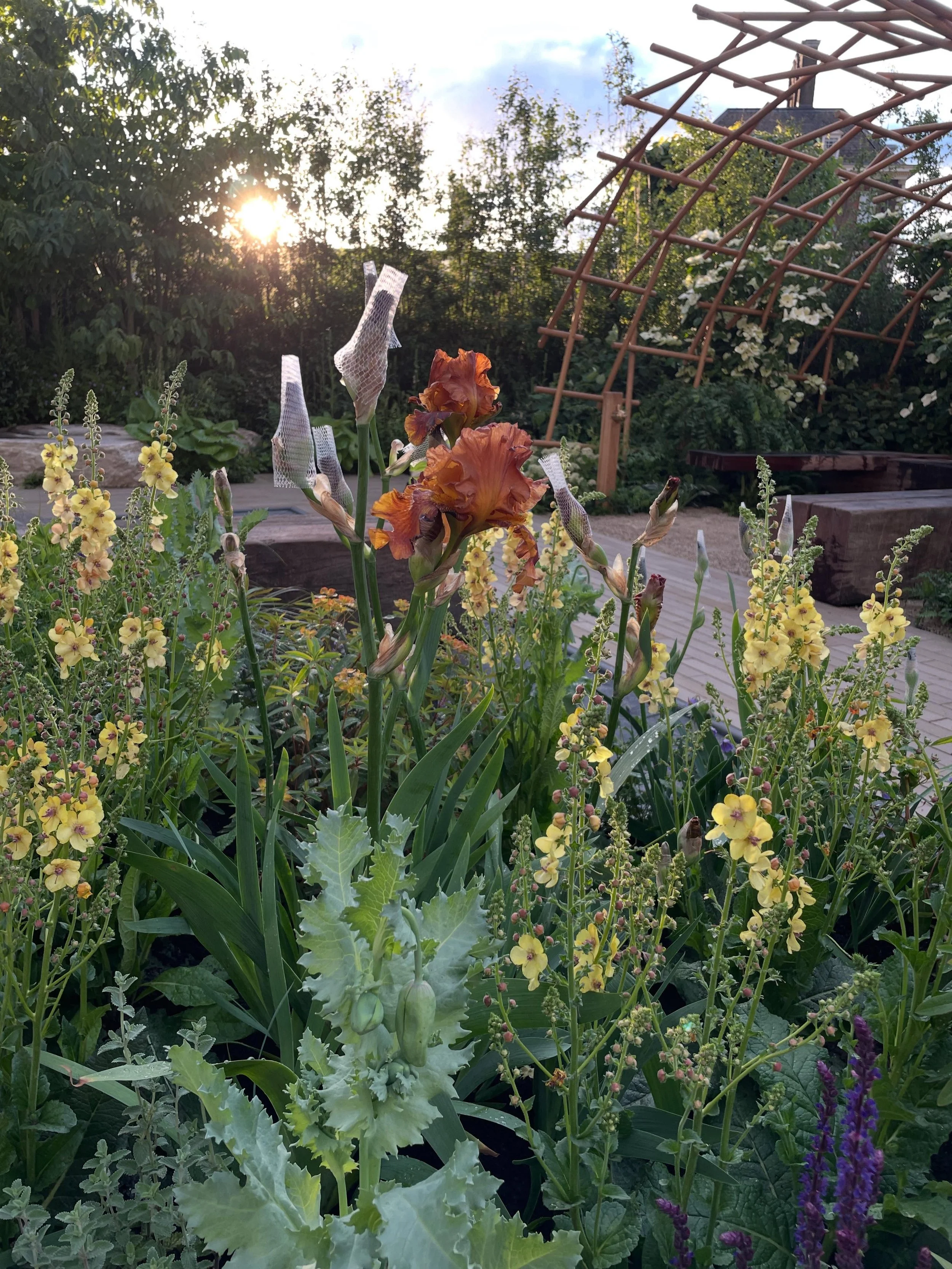 What a week! I don&rsquo;t even know where to start. Seeing the garden being built from the ground up in 7 days. Working crazy long hours. Being outside in the rain, hail and sun. Learning so much from people at the top of their game. Just being in t