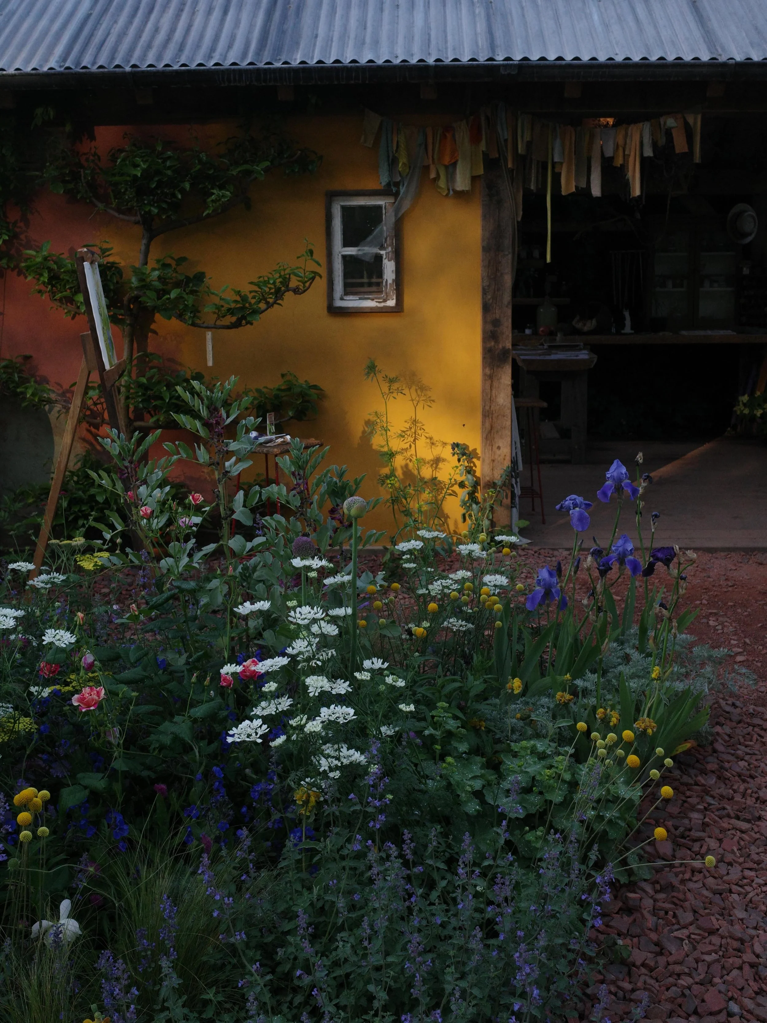 Chelsea 2026 (5/16)

The &ldquo;Curious Garden&rdquo; for the Kings Trust Foundation by @francestophill , Alan Tichmarsh and David Beckham

I really lucked out when I had a few mins to walk around in the early morning before I had a job to do. The st