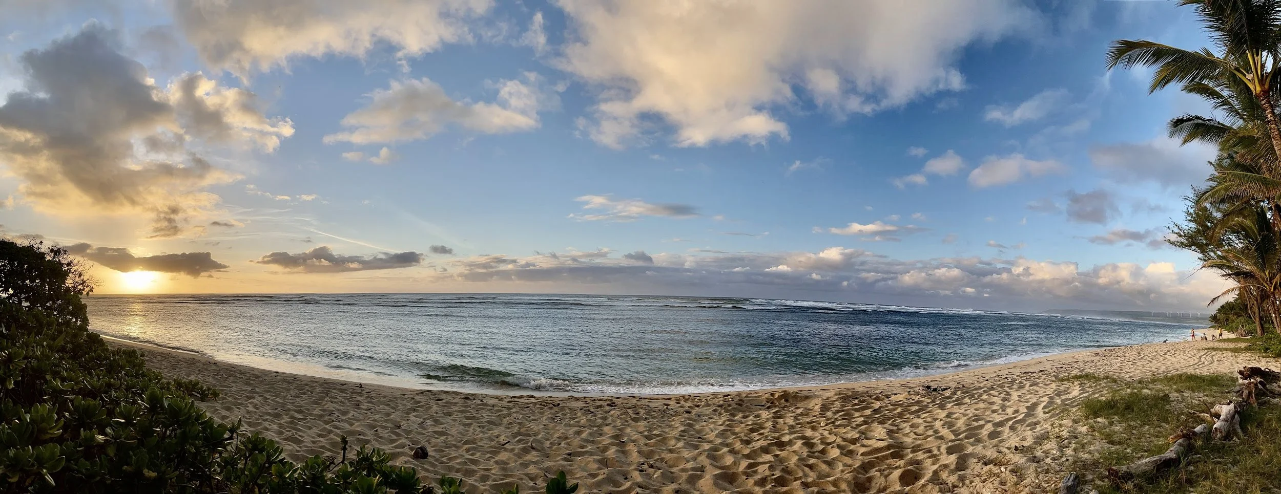 Paradise RentACar Affordable Honolulu Rental Car Convertible SUV Van