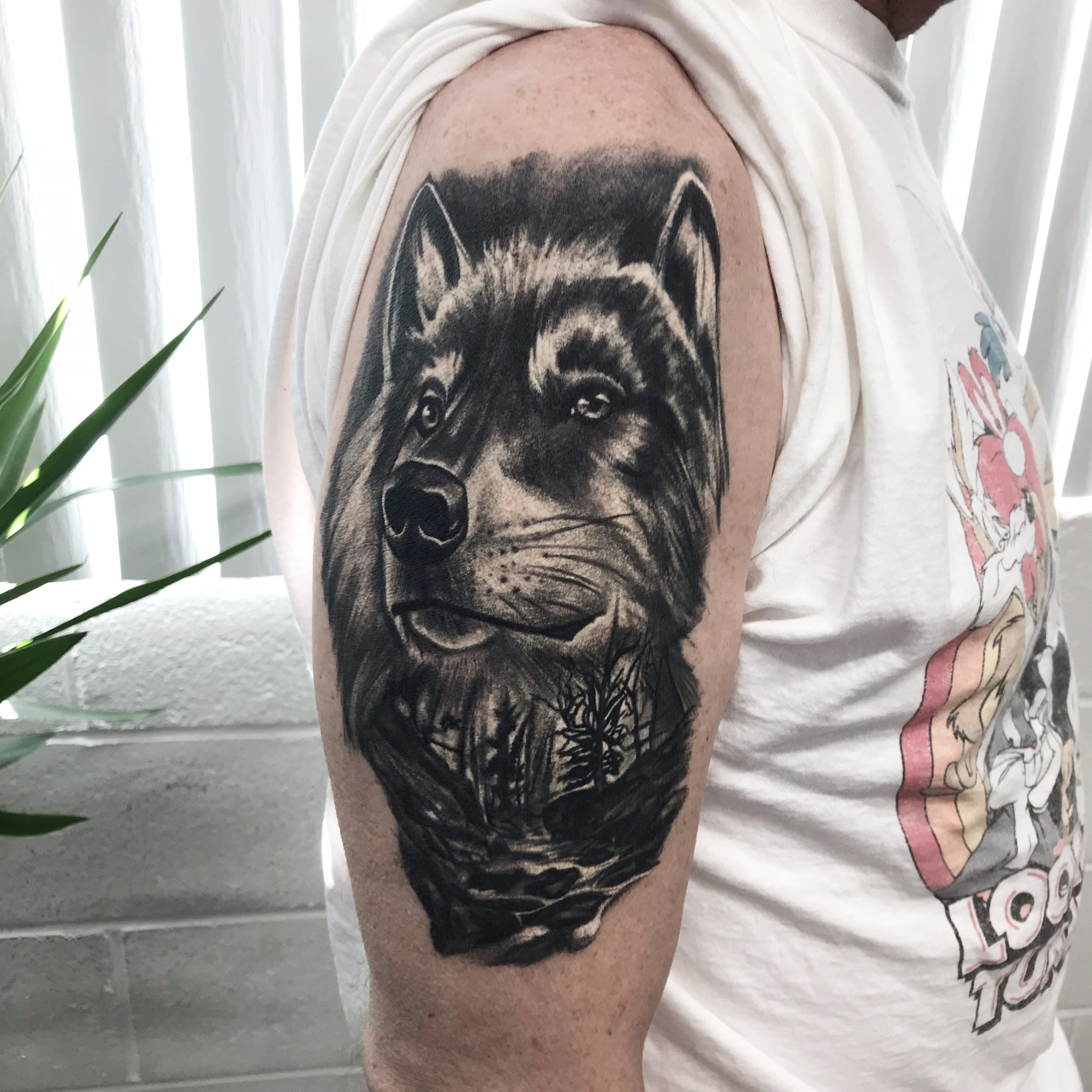 Black and gray tattoo of a wolf's face on a person's upper arm.