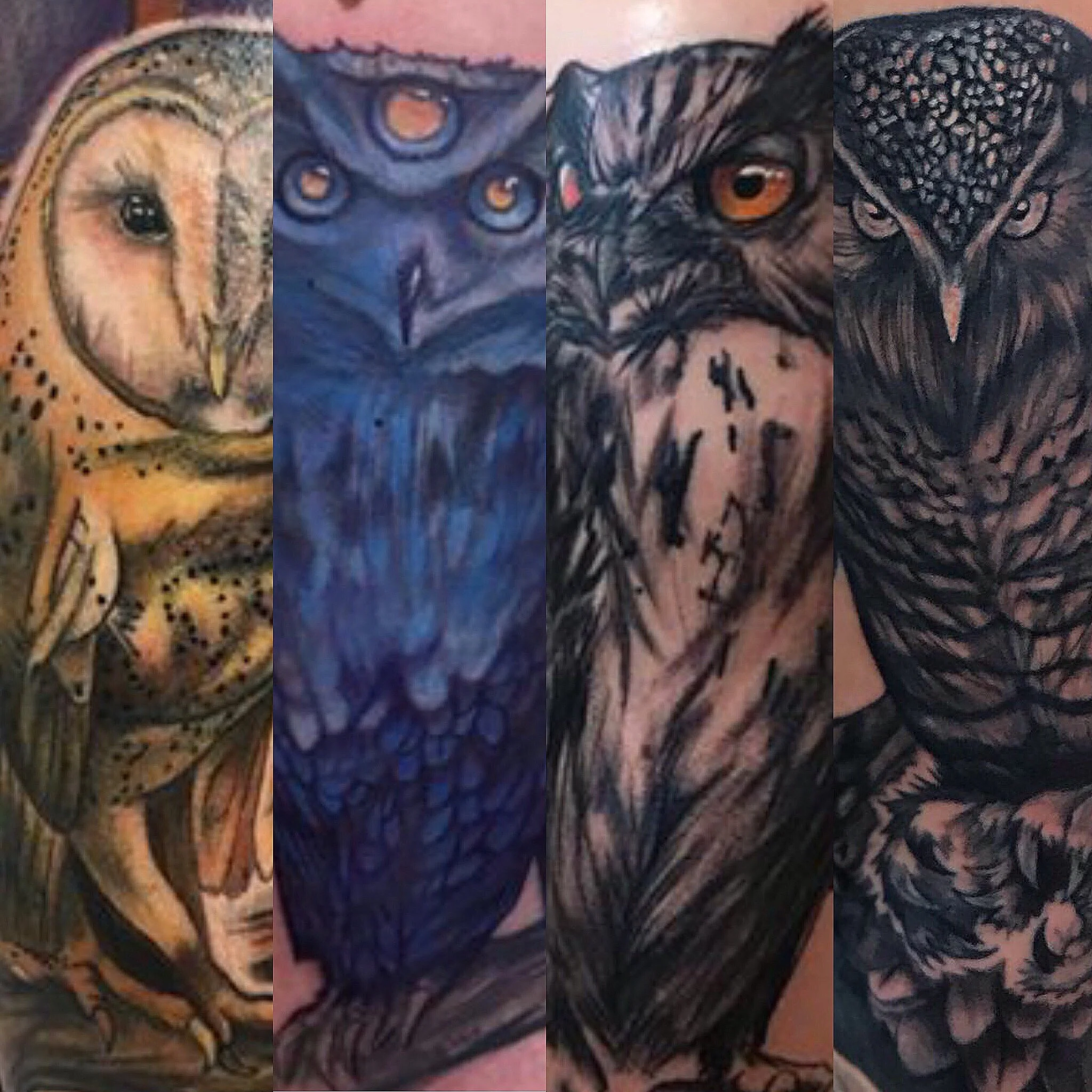 Four detailed animal tattoos featuring an owl, a blue-furred owl, a hawk or eagle, and a black owl, all with intricate line work and shading.