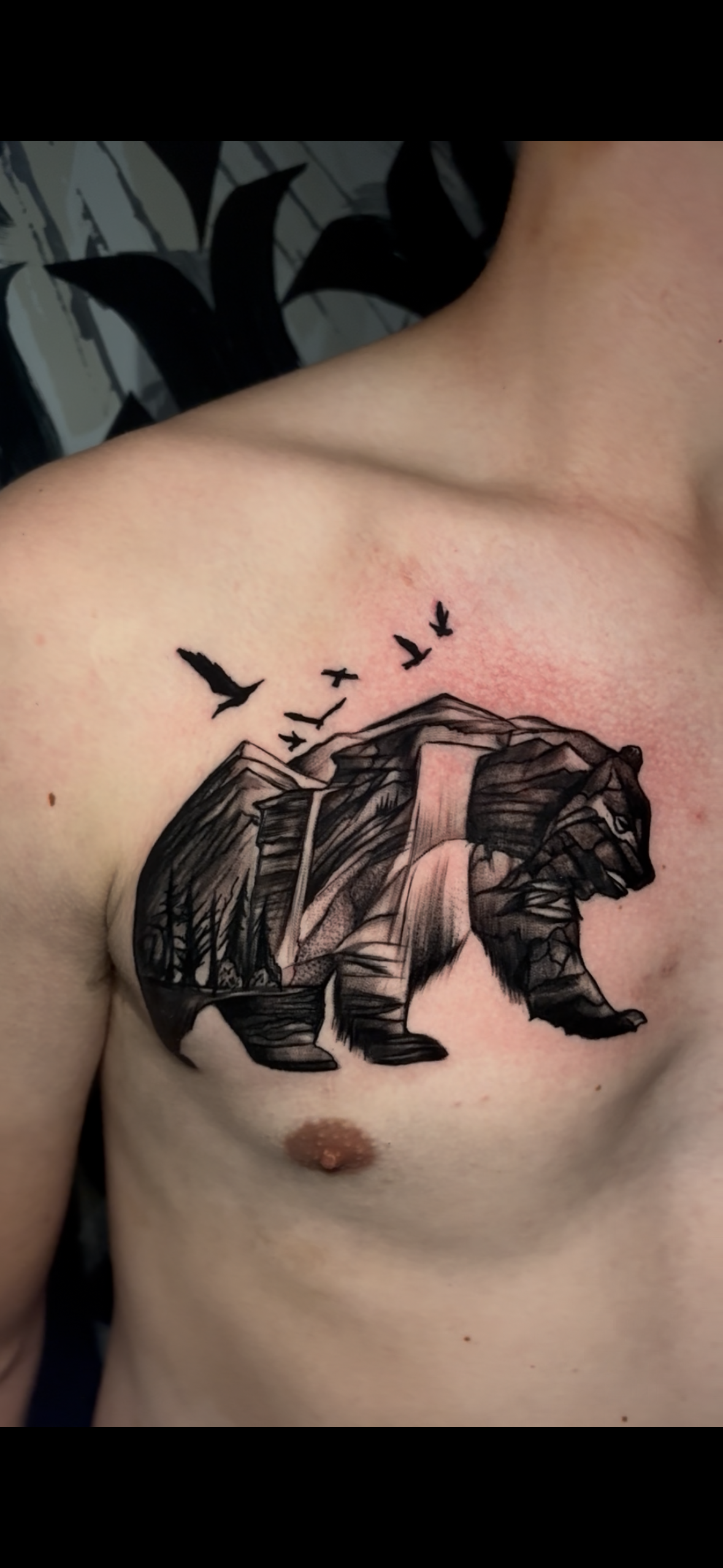 Tattoo of a bear with a mountain landscape, waterfall, trees, and birds on a person's chest.