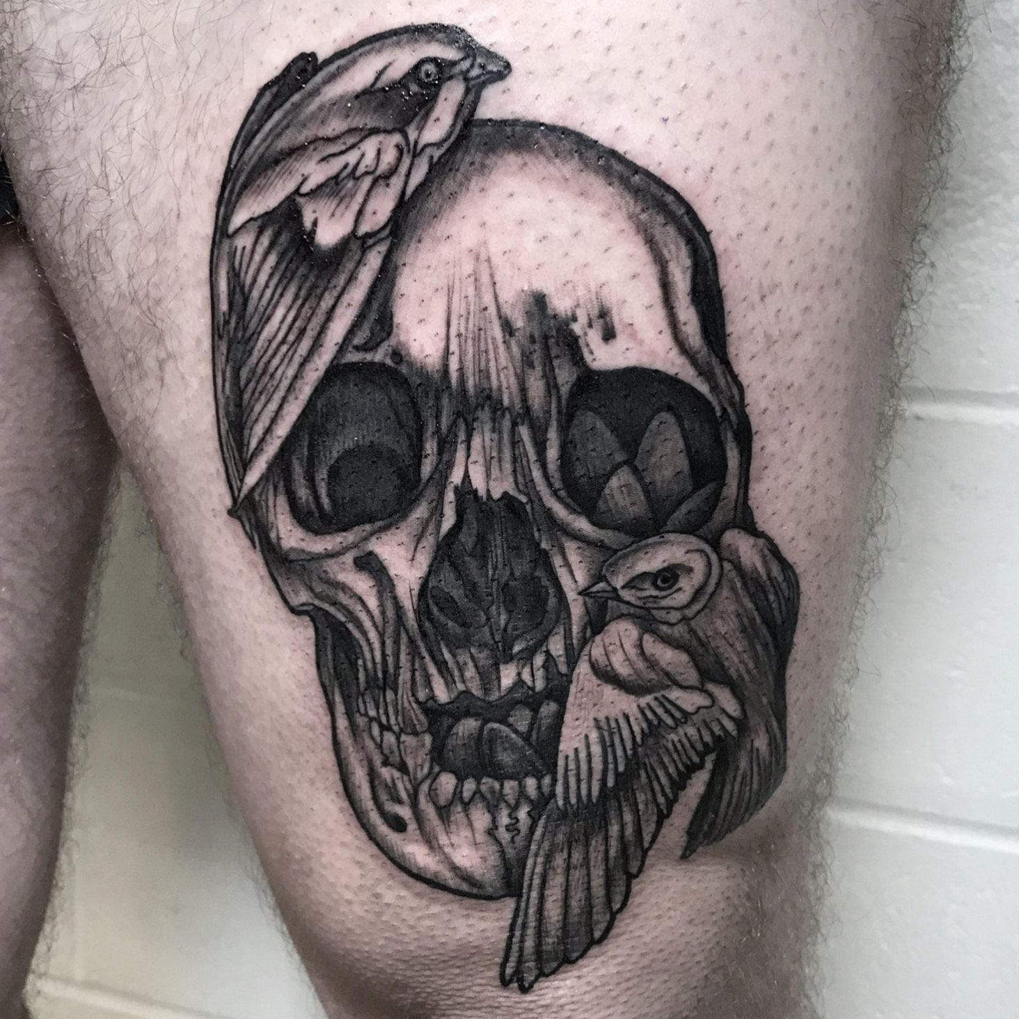 Black and gray tattoo of a human skull with two birds perched around it, one on top and one near the mouth, with detailed shading and line work.