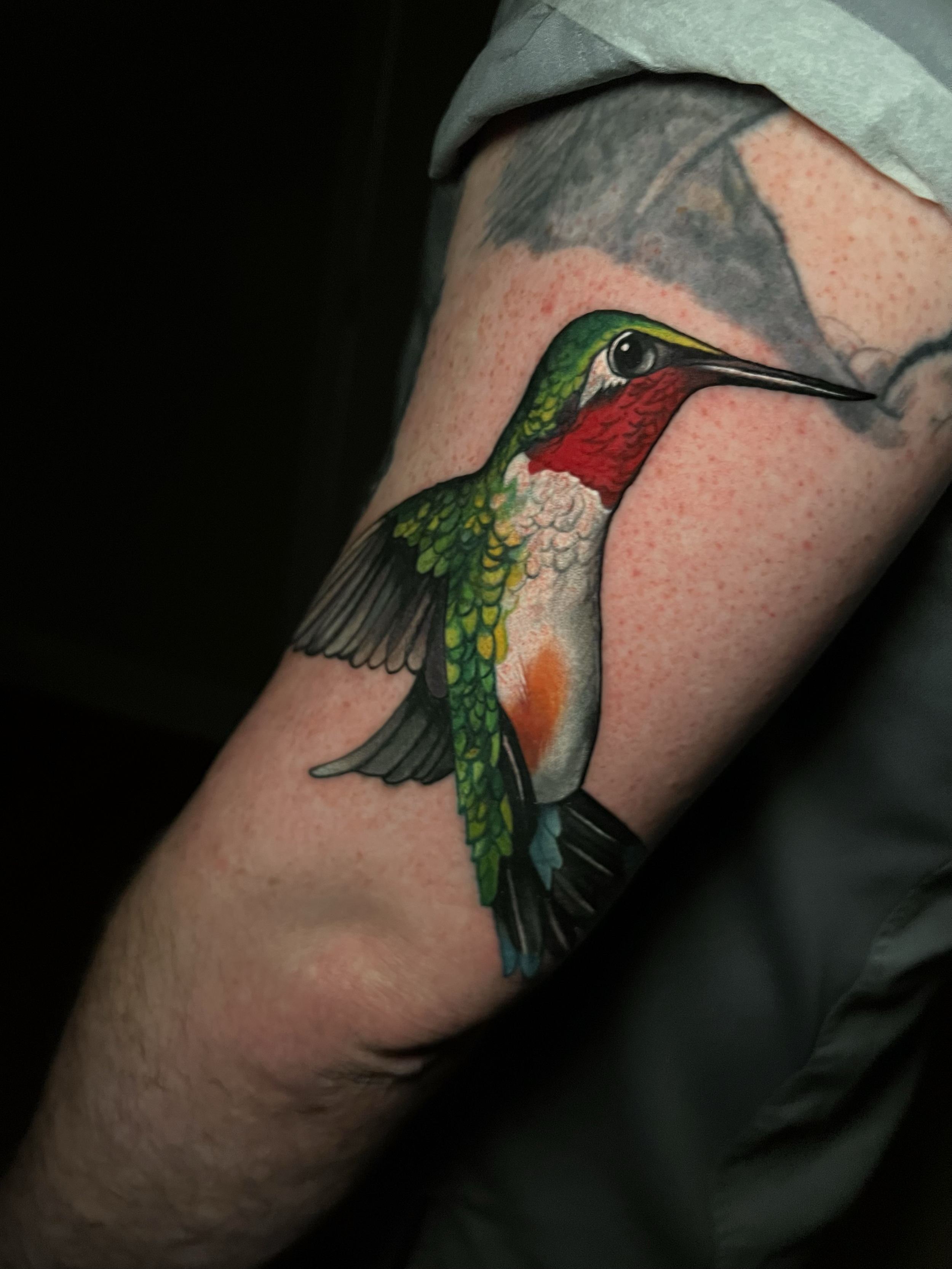 Colorful neo-traditional hummingbird tattoo with bold linework and detailed feathers by Salvador Vargas III, serving Bluffton SC, Savannah GA, and Charleston SC.