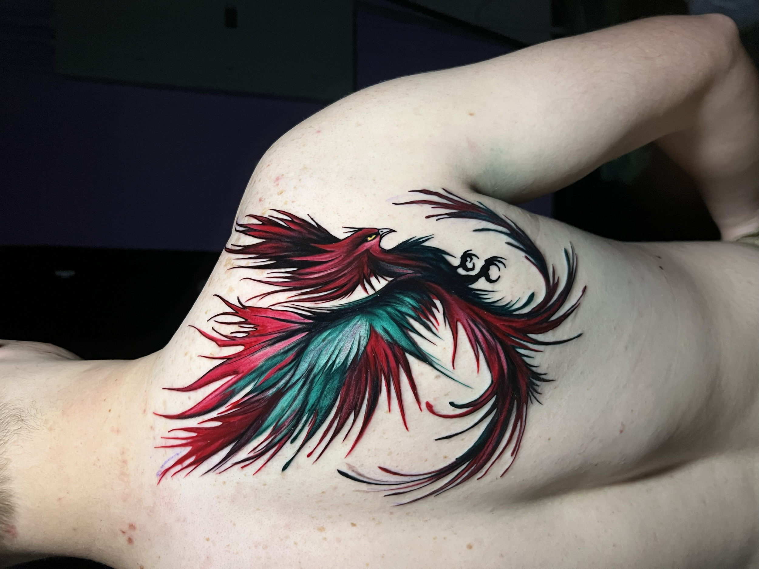 Colorful phoenix tattoo with red, black, and teal feathers on a person's side.