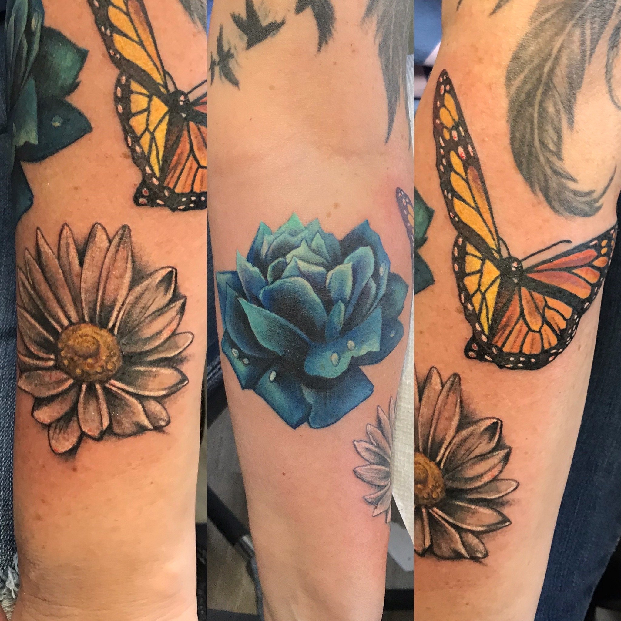 Tattoo of a butterfly, a daisy flower, and a blue succulent on an arm.