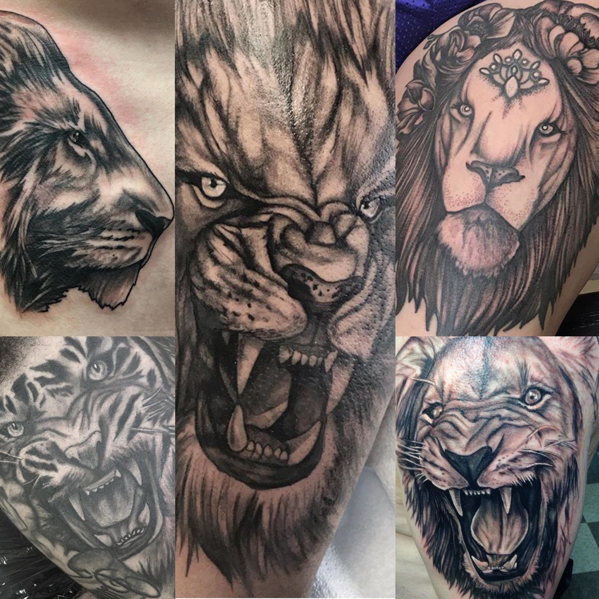 Collage of five detailed black and gray tattoos of big cats including lions, tigers, and a panther.