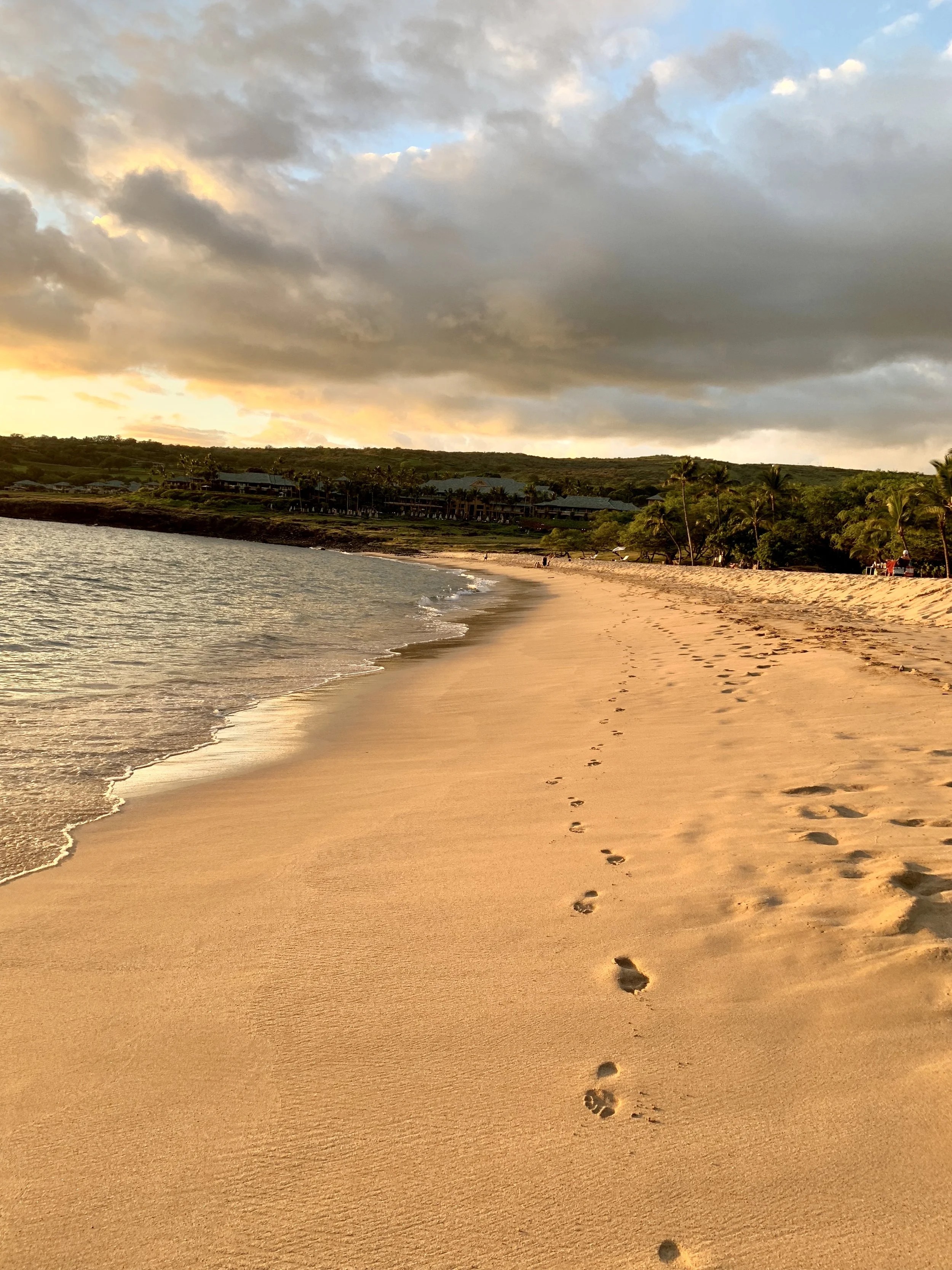 How Small Daily Choices Transformed My Health