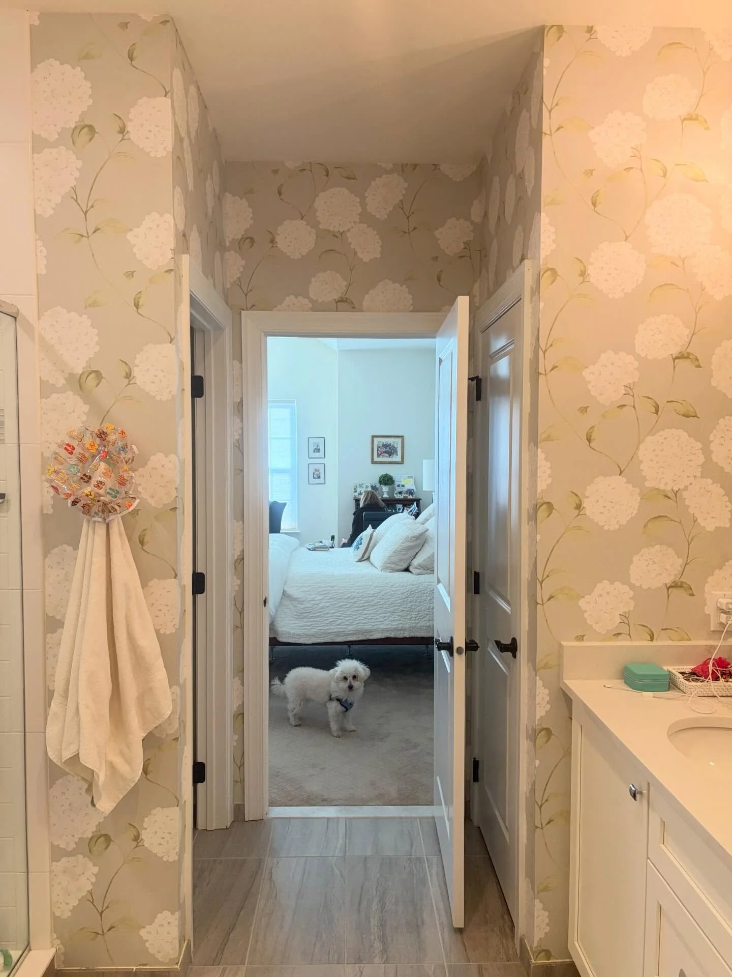 Hydrangeas are back!! Feeling dreamy in this bathroom with paper by Serena and Lily. 

Installation by me 👨&zwj;🎨

Dog Model: Seeking representation 

#wallpaper #wallpaperinstallation #design