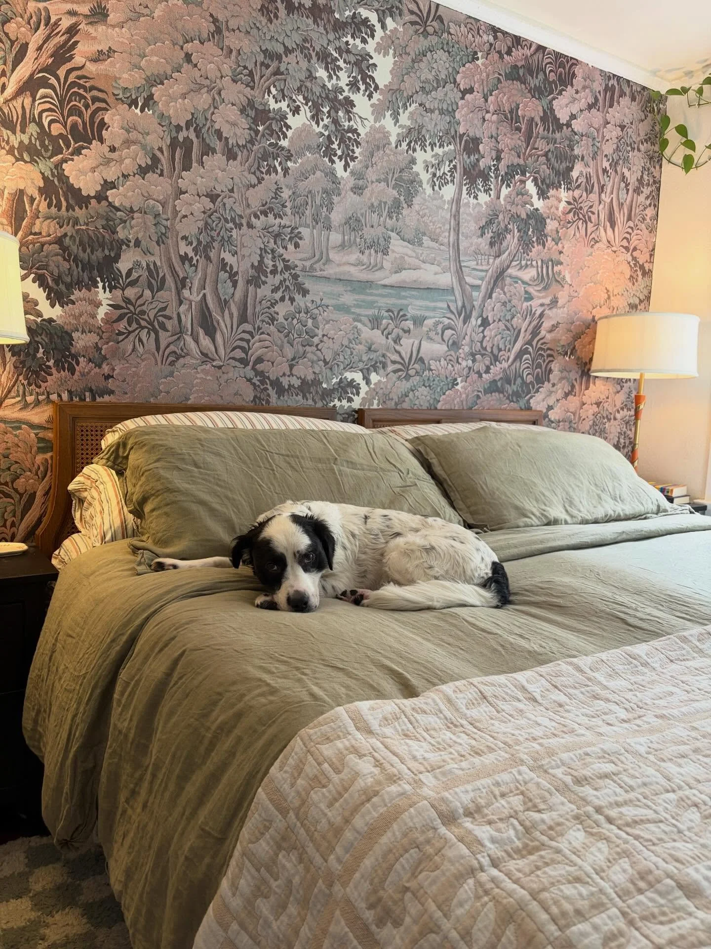 A new bombshell has entered the villa. 

Dreamy bedroom design by moi 👨&zwj;🎨

Wallpaper by @houseofhackney 

Model: WILHELMINA 

#dogs_of_instagram #wallpaper #houseofhackney