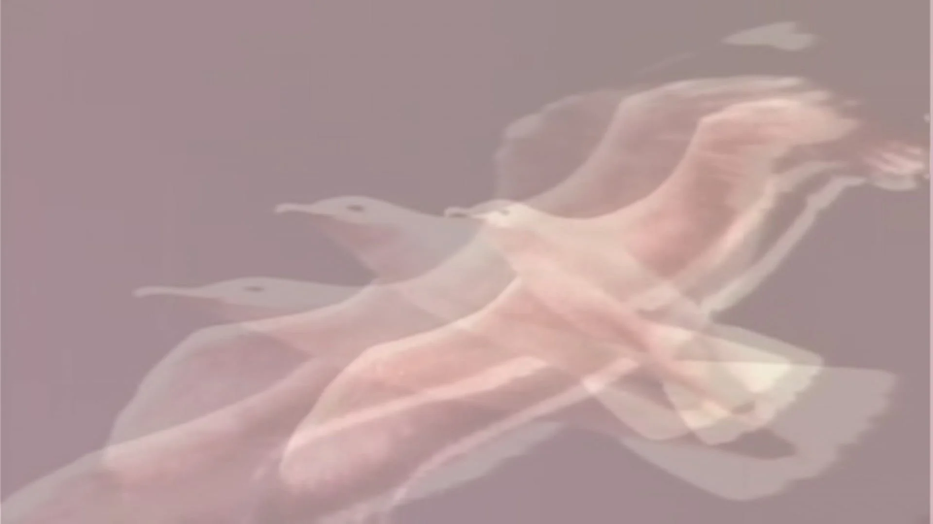 Three Pieces