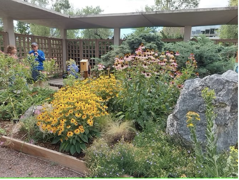 Waterwise and Ignition Resistant Gardening