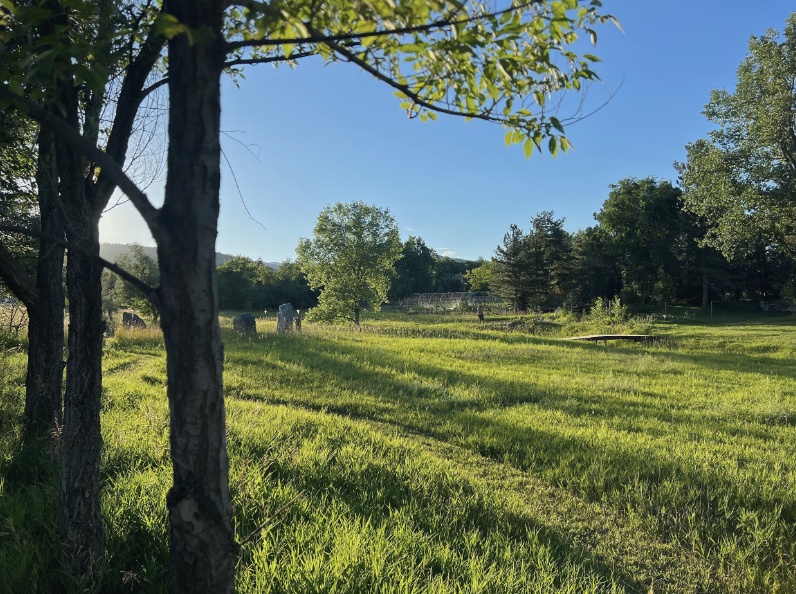 Connecting with the Seasons: GARDENING FOR SOIL HEALTH: soil microbiology & succession of ecosystems