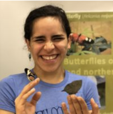The Fascinating World of Bees: From Novel Monitoring Tools to Landscape-Level Stressors