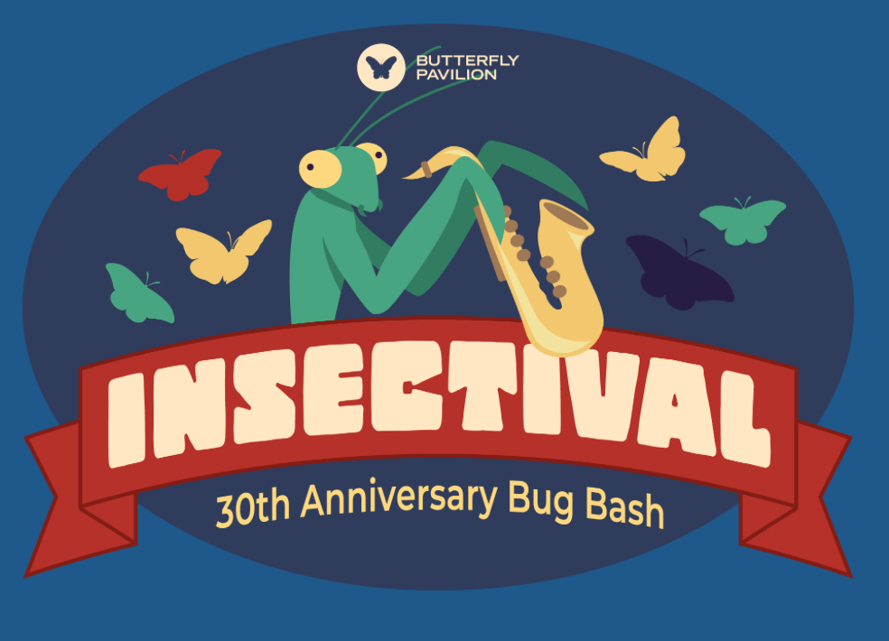 Insectival: Butterfly Pavilion 30th Anniversary Bug Bash