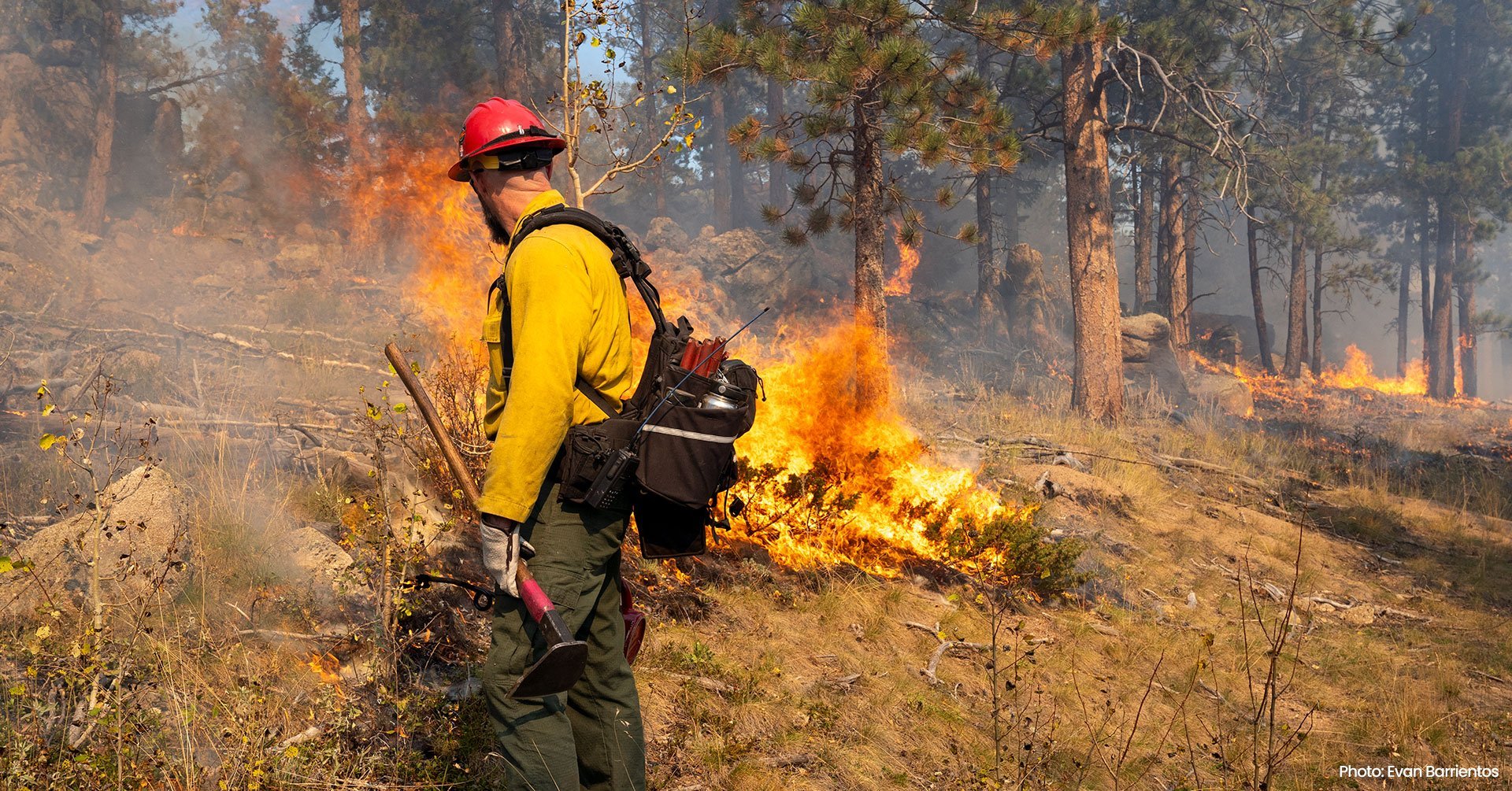 “Fire Forest” Film Screening + Panel Discussion