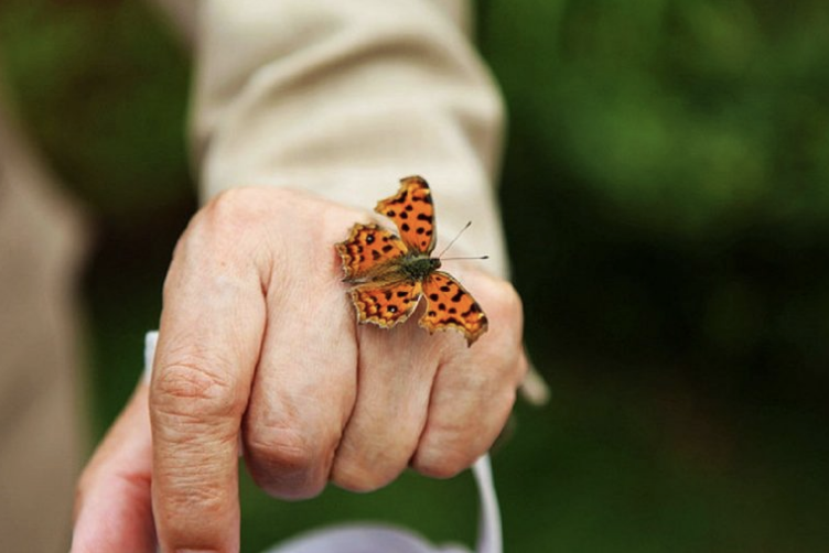 Senior Celebration Day at Butterfly Pavilion