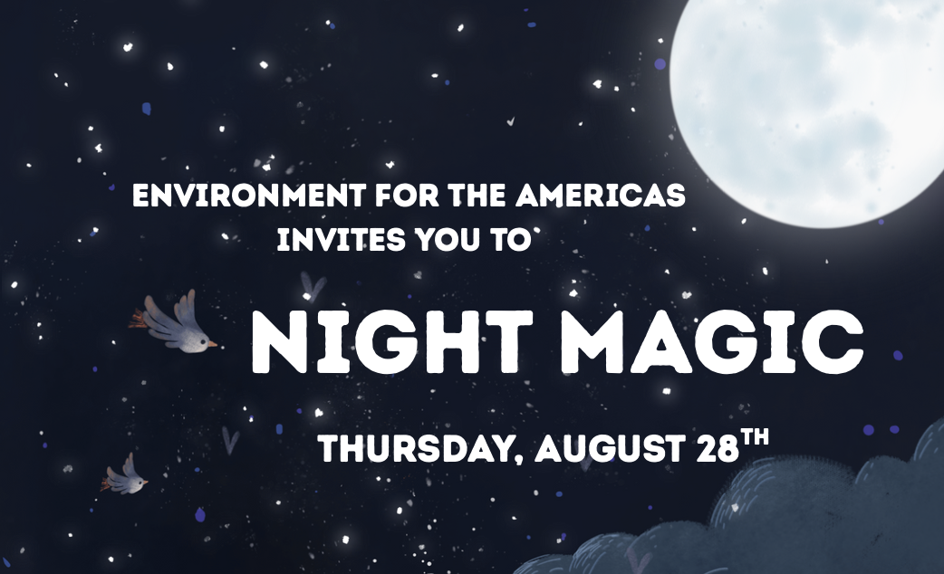 Bird Book Club: Night Magic & Night Sky Chat
