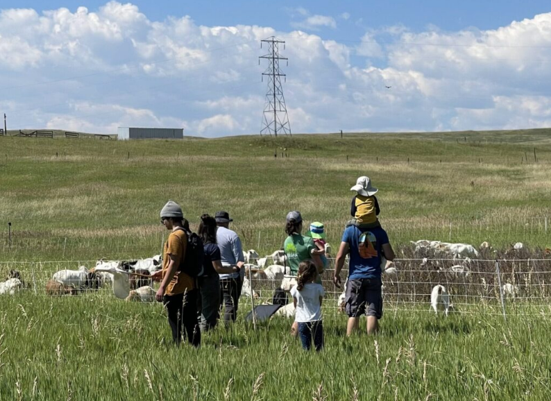 Urban Prairies Project Volunteer Training
