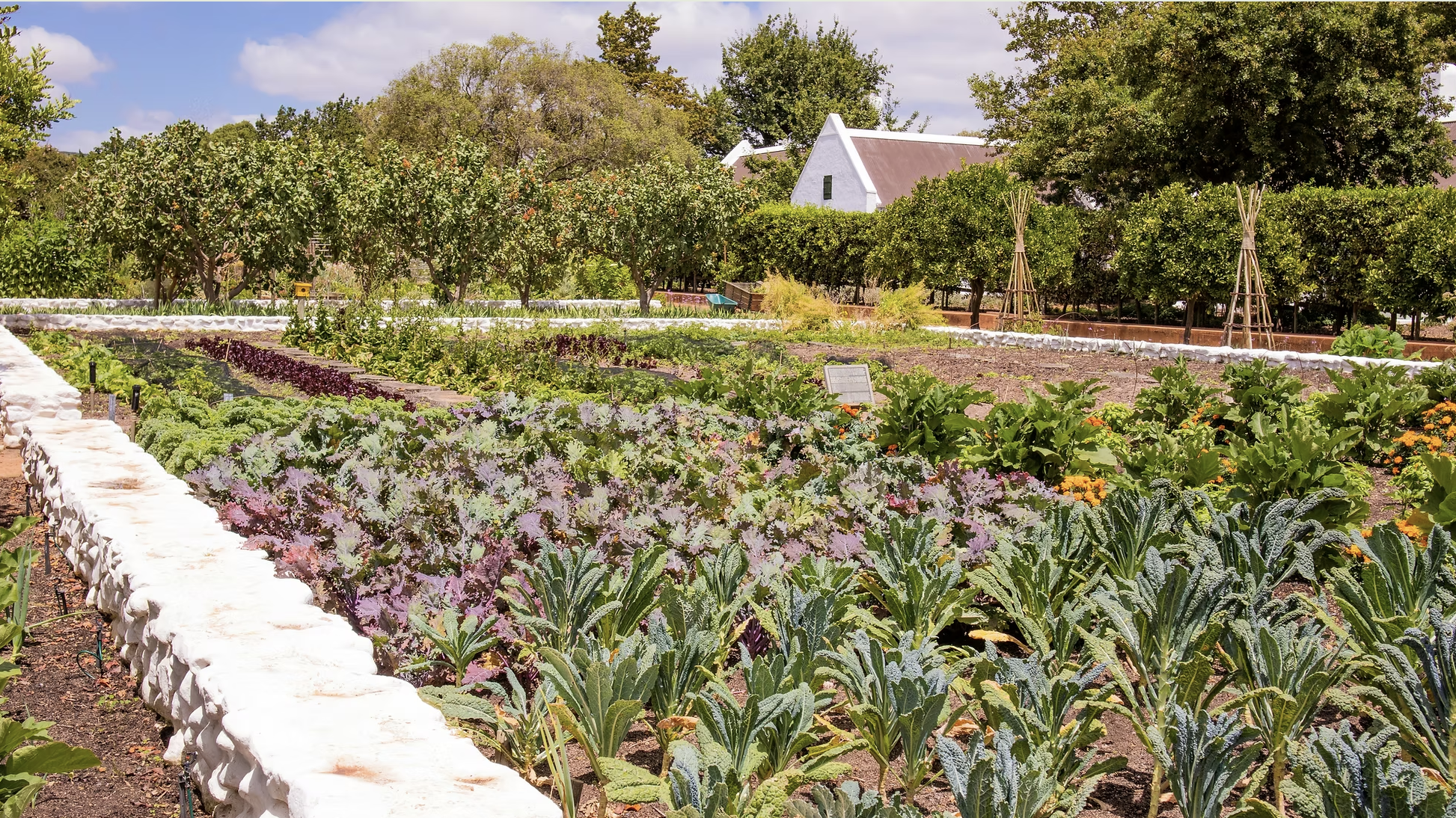 Panel: Starting a Farm Business