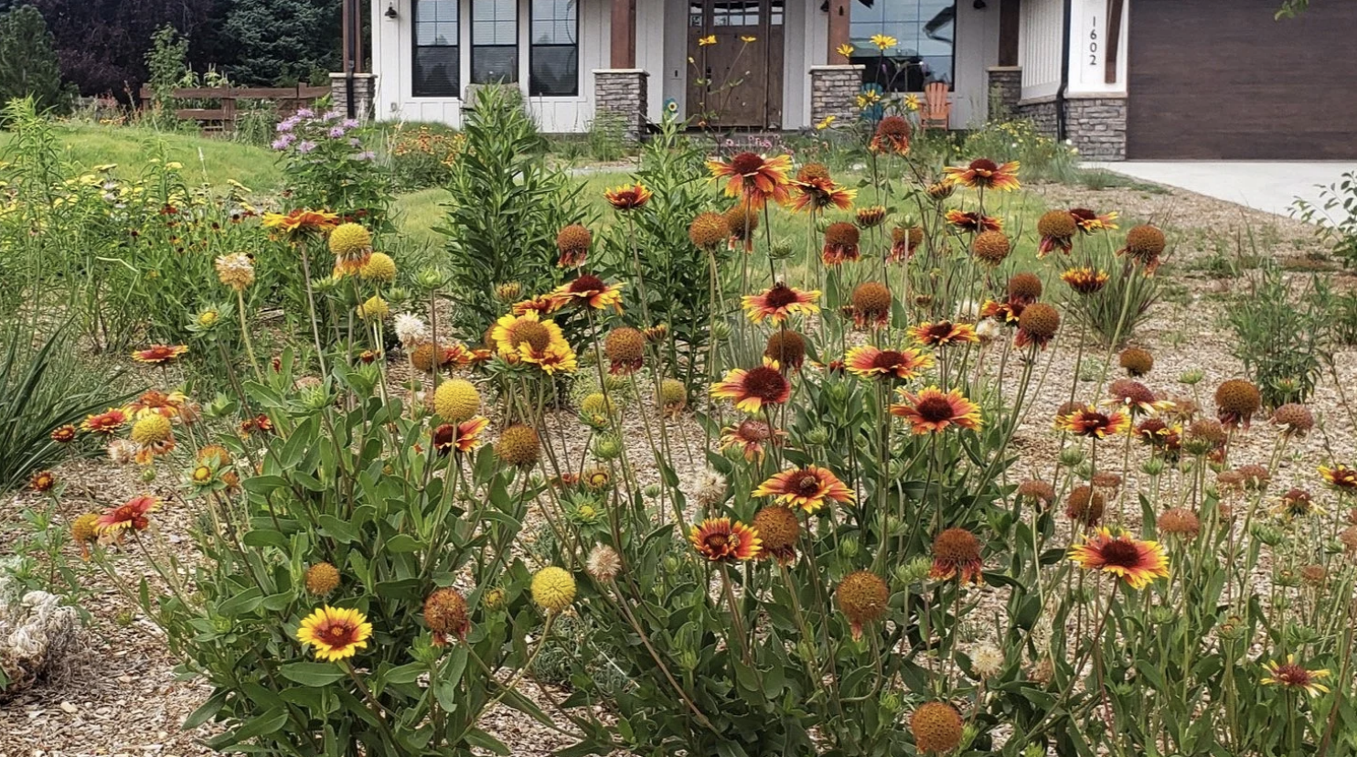 Fire-wise Gardening Workshop