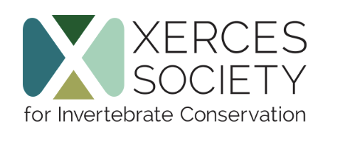 Celebrating Success in Uncertain Times: A Review of the Xerces Society's 2025 Achievements