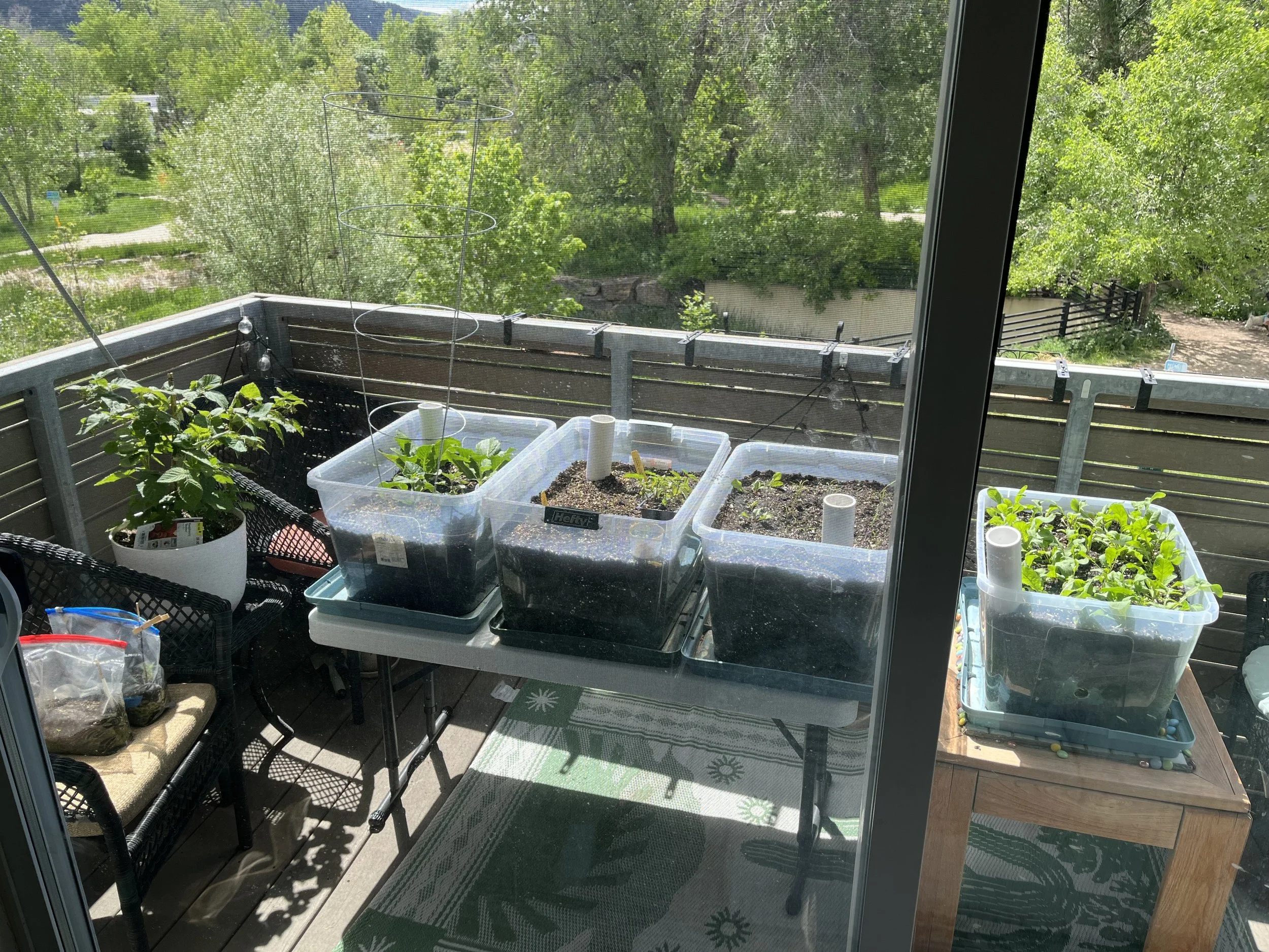 Full Layout from Window