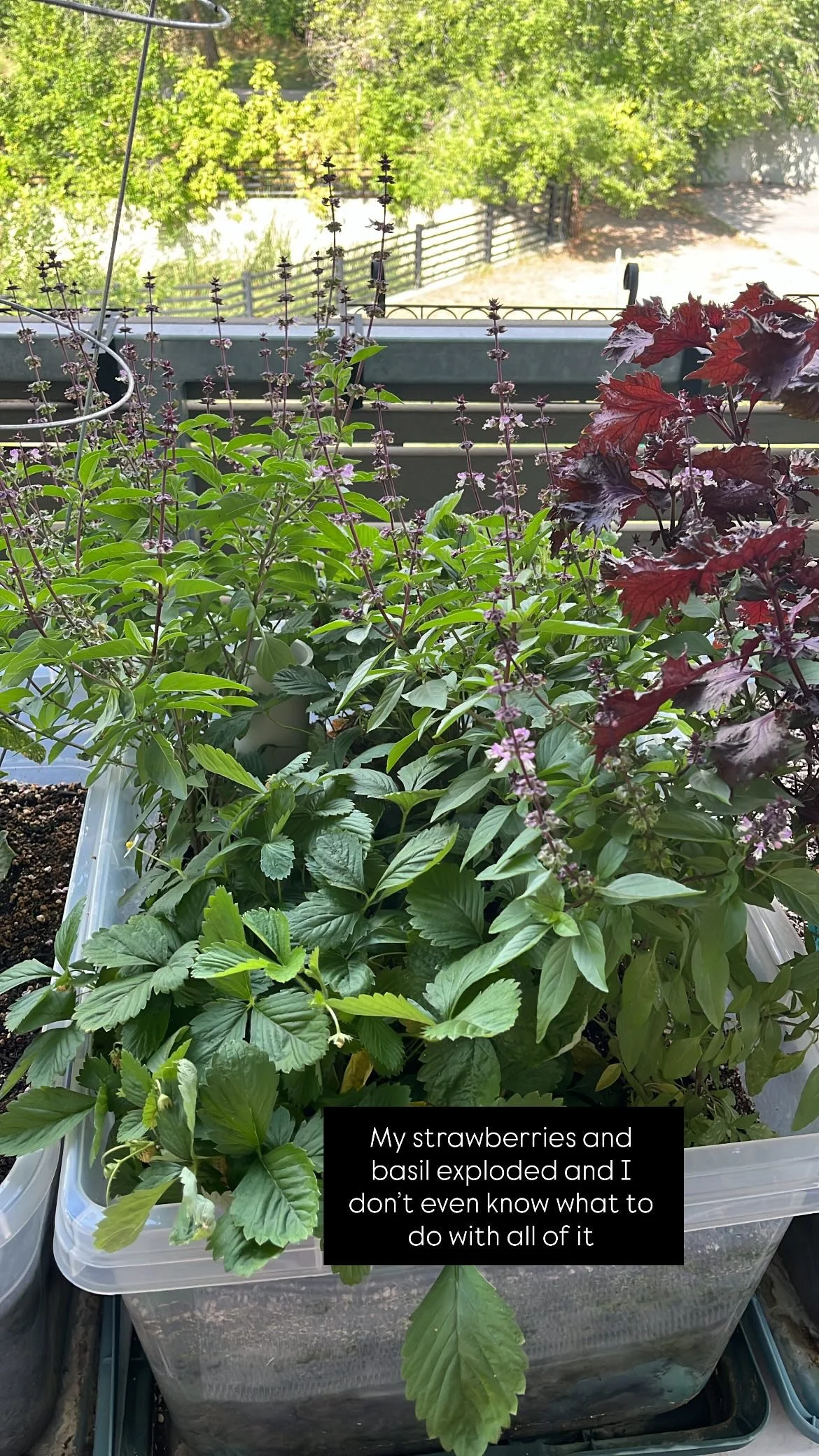 End of season bounty