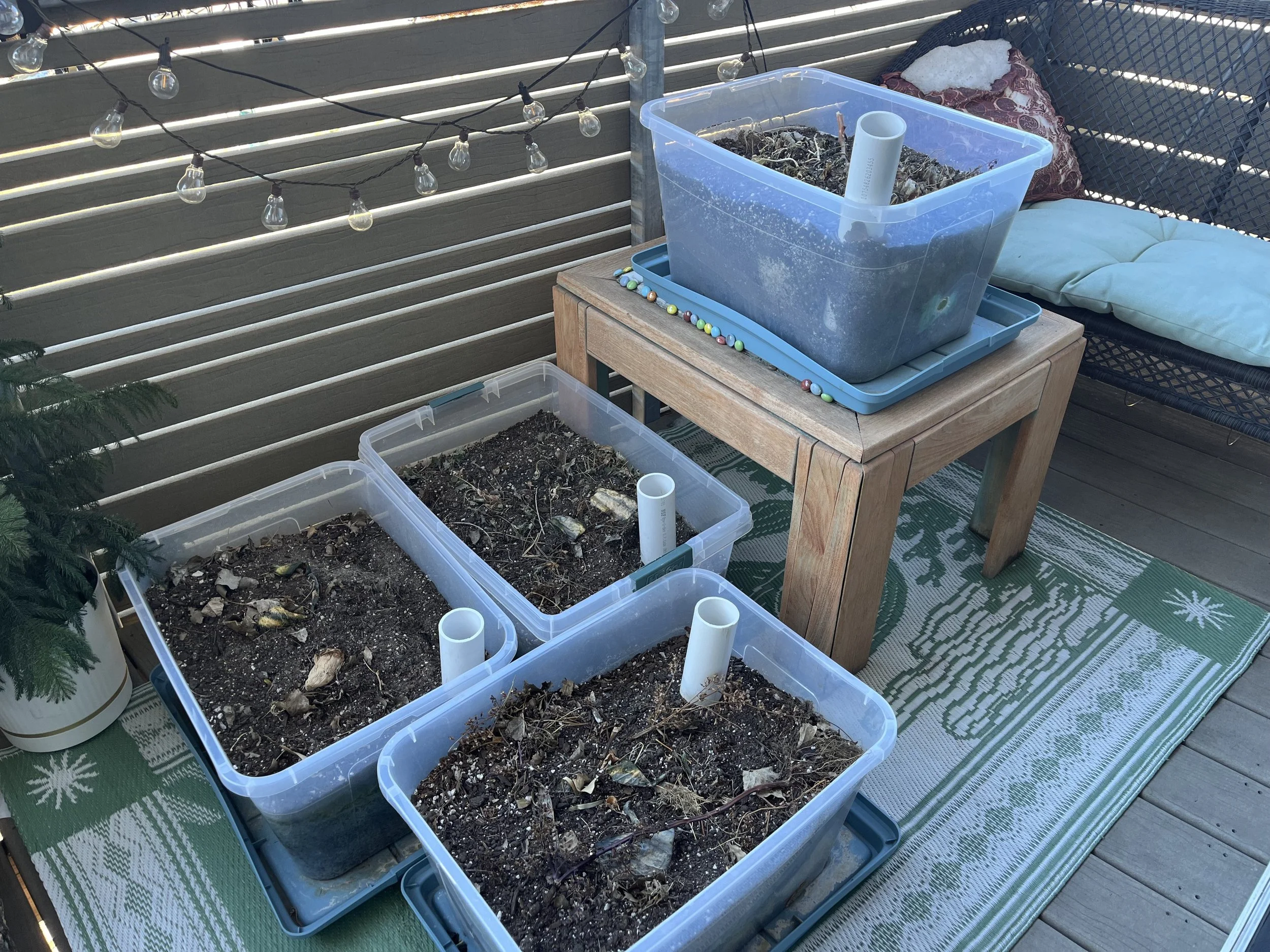 Winterized Beds w/ Compost