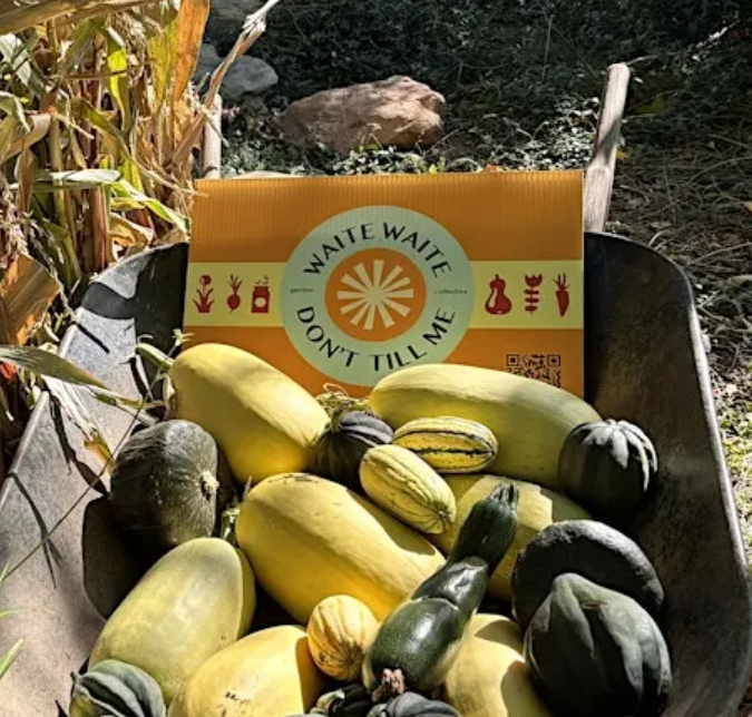 Building Community with a Side of Vegetables: How Friendship Grew from Our Gardens