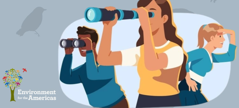 Birdwatching for Beginners